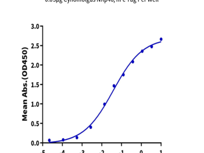 Cynomolgus NKp46/NCR1/CD335 Protein (NKP-CM246)