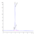 Cynomolgus NKp46/NCR1/CD335 Protein (NKP-CM246)