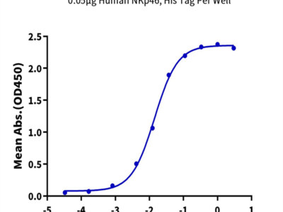 Human NKp46/NCR1/CD335 Protein (NKP-HM146)