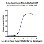 Biotinylated Human NKp46/NCR1/CD335 Protein (Primary Amine Labeling) (NKP-HM146B)
