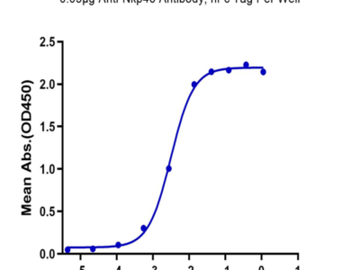 Biotinylated Human NKp46/NCR1/CD335 Protein (Primary Amine Labeling) (NKP-HM146B)