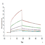 Human NKp30/NCR3/CD337 Protein (NKP-HM230)