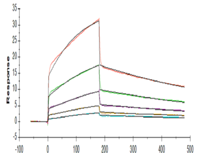 Human NKp30/NCR3/CD337 Protein (NKP-HM230)