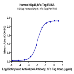 Human NKp46/NCR1/CD335 Protein (NKP-HM246)