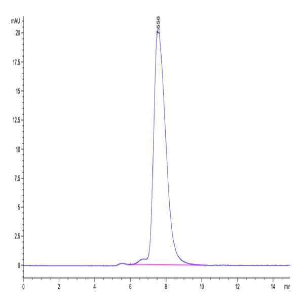 Human NKp46/NCR1/CD335 Protein (NKP-HM246)