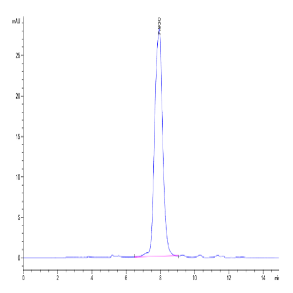 Human NKp80/CLEC5C Protein (NKP-HM280) Human NKp80/CLEC5C Protein (NKP-HM280)