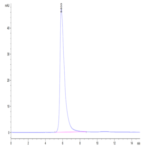 Human NKp46/NCR1/CD335 Protein (NKP-HM346)