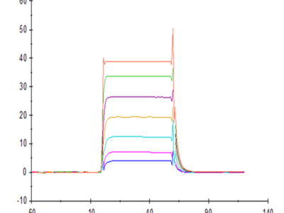 Human NKp30/NCR3/CD337 Protein (NKP-HM430)