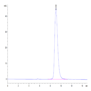 Mouse NKp46/NCR1/CD335 Protein (NKP-MM146)