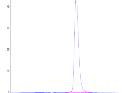 Mouse NKp46/NCR1/CD335 Protein (NKP-MM146)