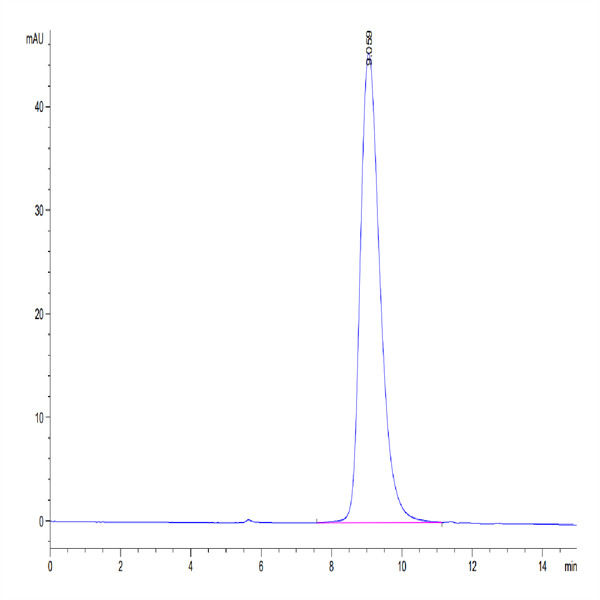 Mouse NKp46/NCR1/CD335 Protein (NKP-MM146) Mouse NKp46/NCR1/CD335 Protein (NKP-MM146)