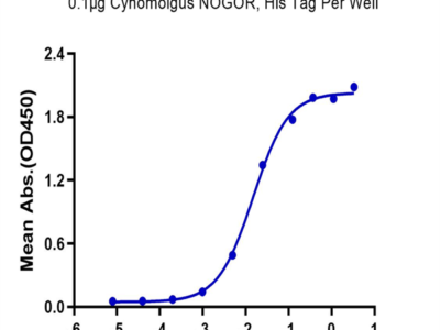 Cynomolgus NOGOR Protein (NOG-CM101)