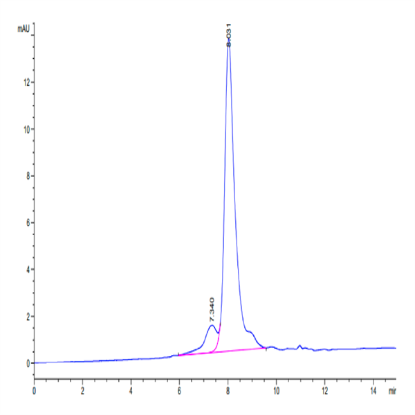 Cynomolgus NOGOR Protein (NOG-CM101)