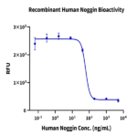 Human Noggin Protein (NOG-HM001)