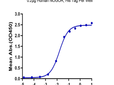 Human NOGOR Protein (NOG-HM101)