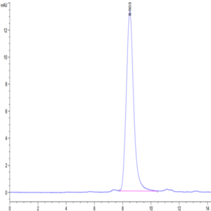 Human NOGOR Protein (NOG-HM101)