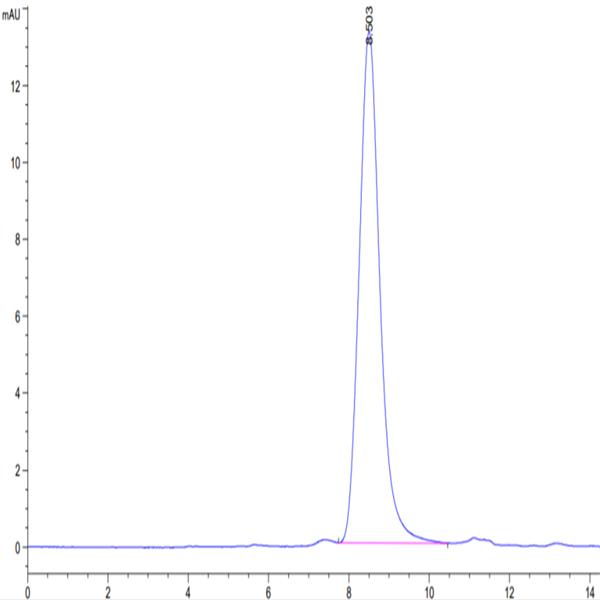 Human NOGOR Protein (NOG-HM101)