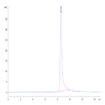 Mouse Noggin Protein (NOG-MM001)