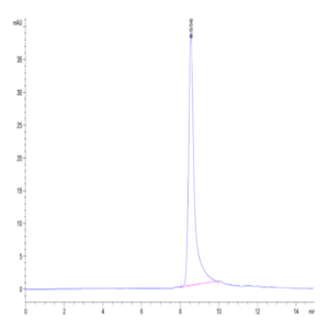 Mouse Noggin Protein (NOG-MM001)