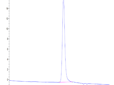 Mouse NOGOR Protein (NOG-MM101)