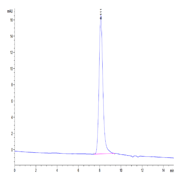 Mouse NOGOR Protein (NOG-MM101) Mouse NOGOR Protein (NOG-MM101)
