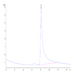 Mouse Noggin Protein (NOG-MM201)