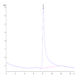 Mouse Noggin Protein (NOG-MM201)