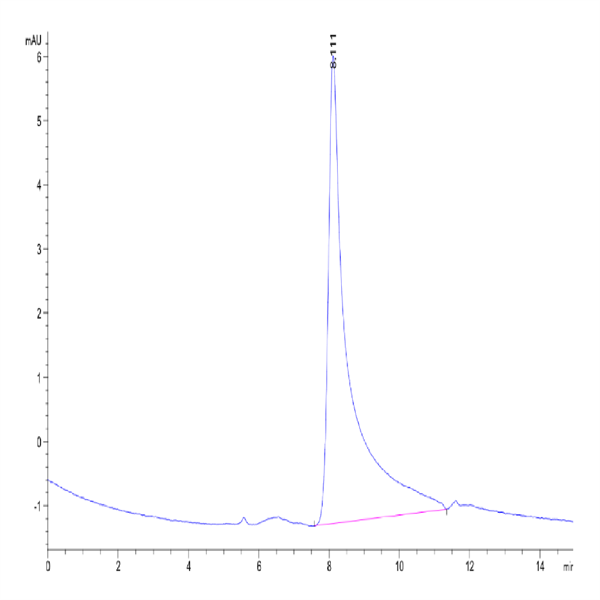Mouse Noggin Protein (NOG-MM201)