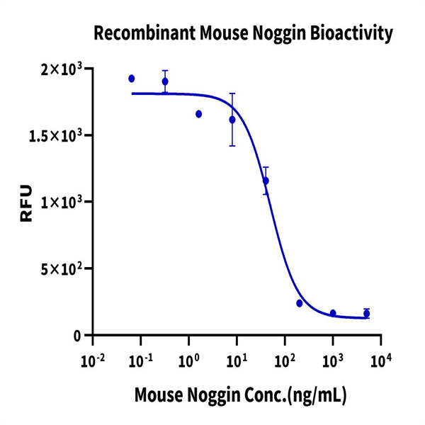 Mouse Noggin Protein (NOG-MM601) Mouse Noggin Protein (NOG-MM601)