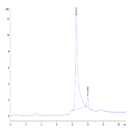 Mouse Noggin Protein (NOG-MM601)