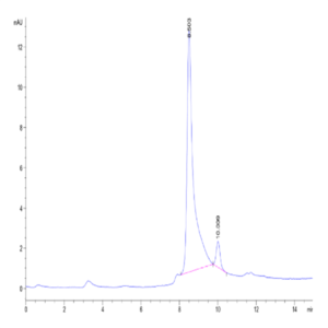 Mouse Noggin Protein (NOG-MM601)