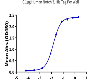 Human Notch 3 Protein (NOT-HM103)
