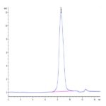 Human Notch 3 Protein (NOT-HM203)