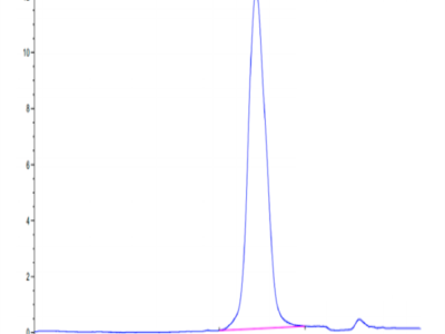 Human Notch 3 Protein (NOT-HM203)