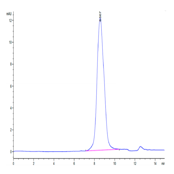 Human Notch 3 Protein (NOT-HM203) Human Notch 3 Protein (NOT-HM203)