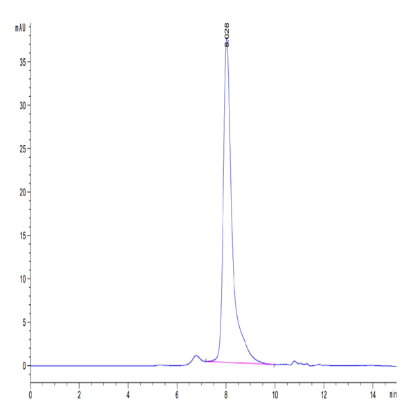 Human Notch 3 Protein (NOT-HM403) Human Notch 3 Protein (NOT-HM403)