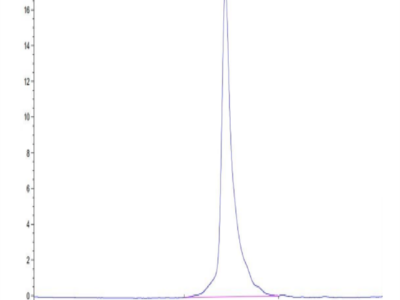 Biotinylated Human Notch 3 Protein (NOT-HM403B)