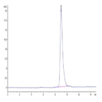 Mouse Notch 4 Protein (NOT-MM104)