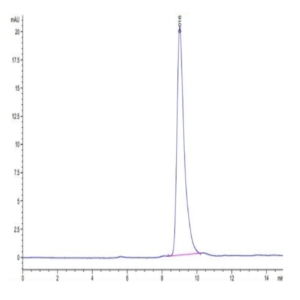 Mouse Notch 4 Protein (NOT-MM104)