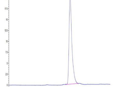 Mouse Notch 4 Protein (NOT-MM104)