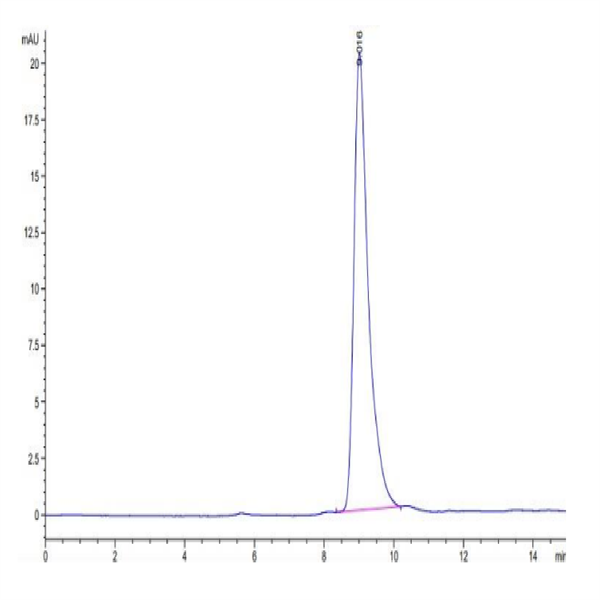 Mouse Notch 4 Protein (NOT-MM104)