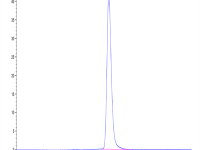 Cynomolgus Neuropilin-1 Protein (NRP-CM101)