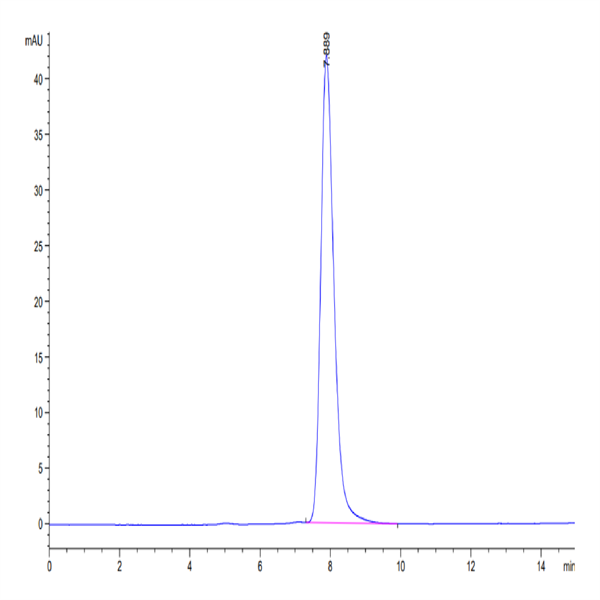 Cynomolgus Neuropilin-1 Protein (NRP-CM101)