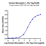 Human Neuropilin-1 Protein (NRP-HM101)