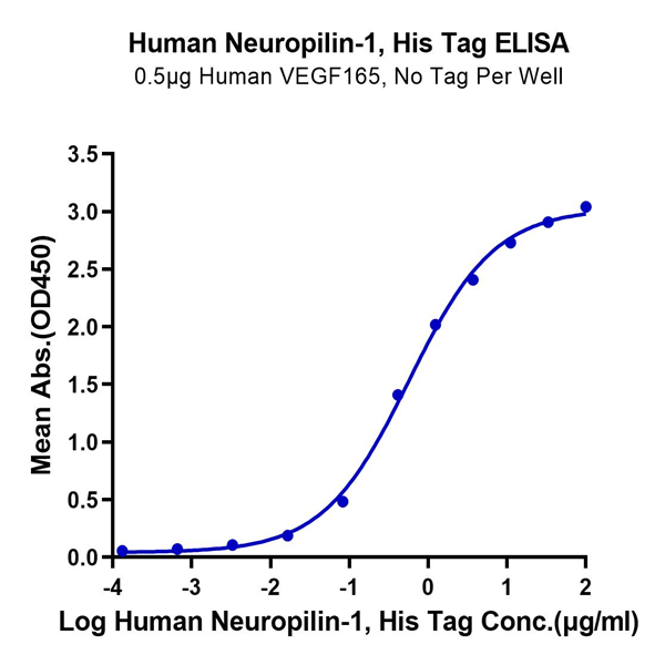 Human Neuropilin-1 Protein (NRP-HM101) Human Neuropilin-1 Protein (NRP-HM101)