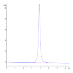 Human Neuropilin-1 Protein (NRP-HM101)