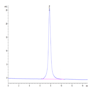 Human Neuropilin-1 Protein (NRP-HM101)