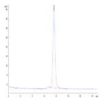 Human Neuropilin-2 Protein (NRP-HM102)