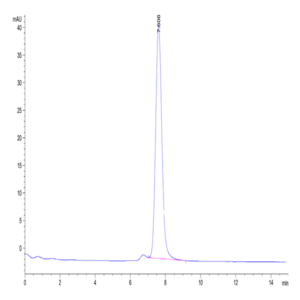 Human Neuropilin-2 Protein (NRP-HM102)