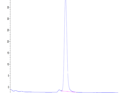 Human Neuropilin-2 Protein (NRP-HM102)